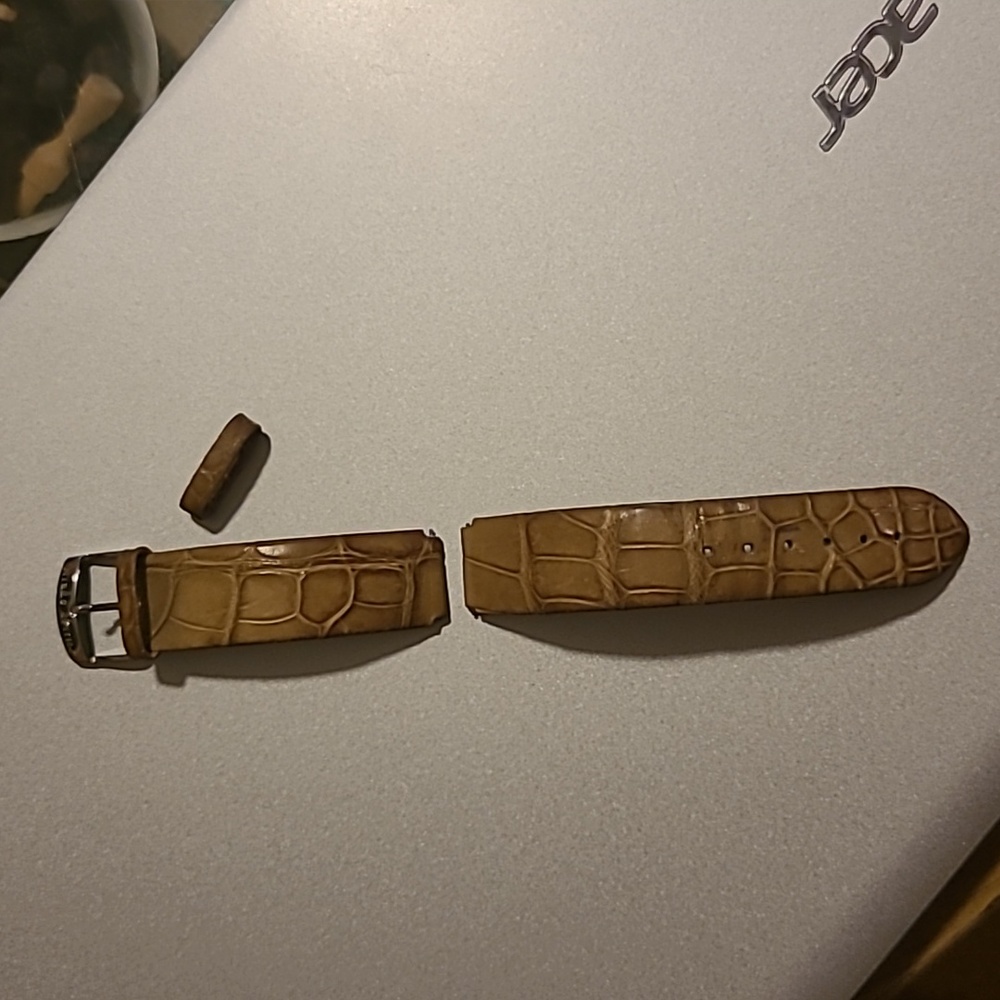 Philip Stein Watch Band